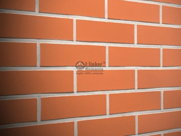R480 Caramida aparenta Klinker Terreno Liso Clasic