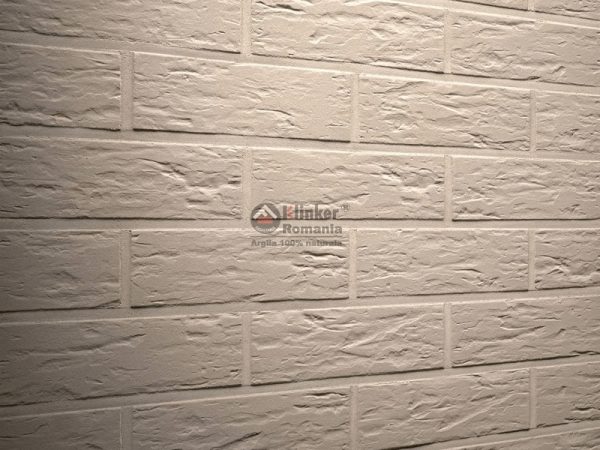 R840 Caramida aparenta Klinker Argo Senso Clasic