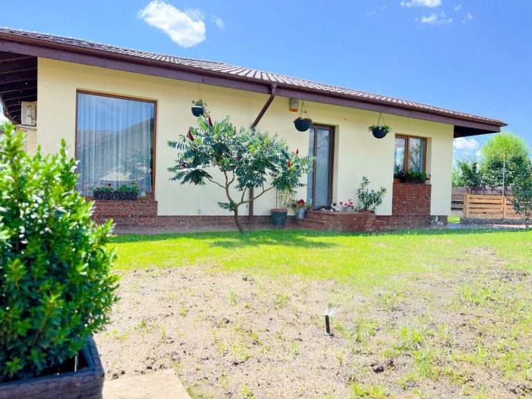 caramida aparenta pentru soclu casa